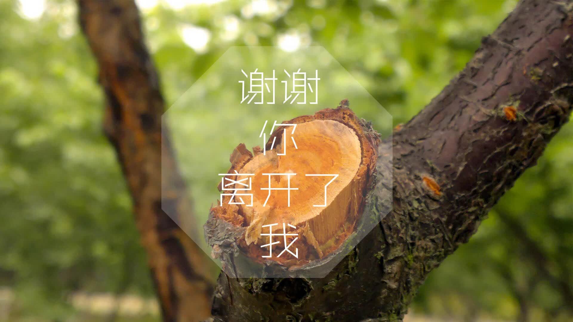 世界举重裁判评分透明化平台数据公开政策说明，世界举重官网